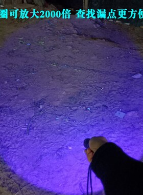 汽车空调捡漏设备萤光手电筒维修查漏工具氟利昂漏氟紫光灯检测神