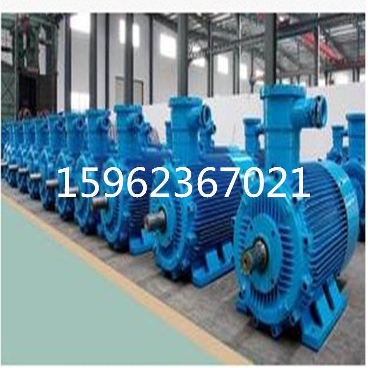 防爆变频调速电动机YBBP-315L1-4-160W宽频电机三相异步电动机,淘宝优惠券,粉丝福利购,淘宝优惠卷