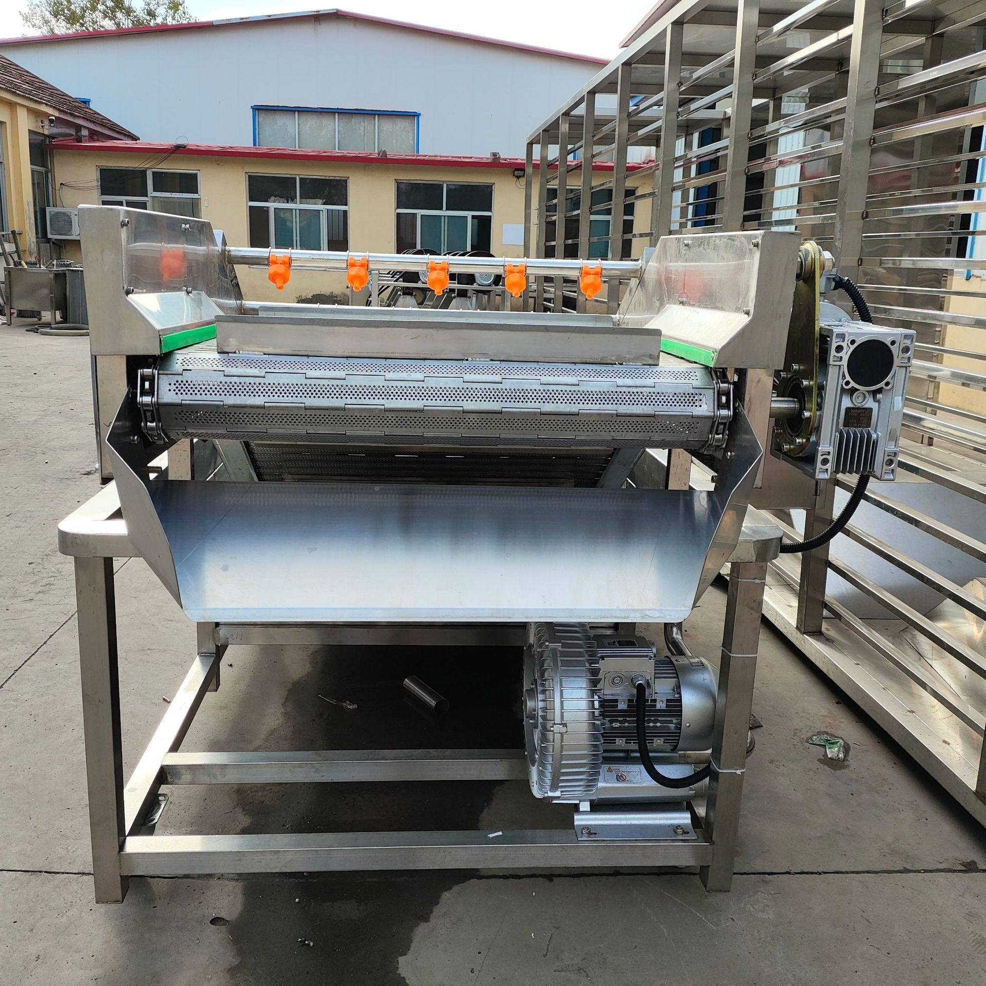 大型果蔬起泡清洗机大枣清洗设备海鲜清洗机,淘宝优惠券,粉丝福利购,淘宝优惠卷