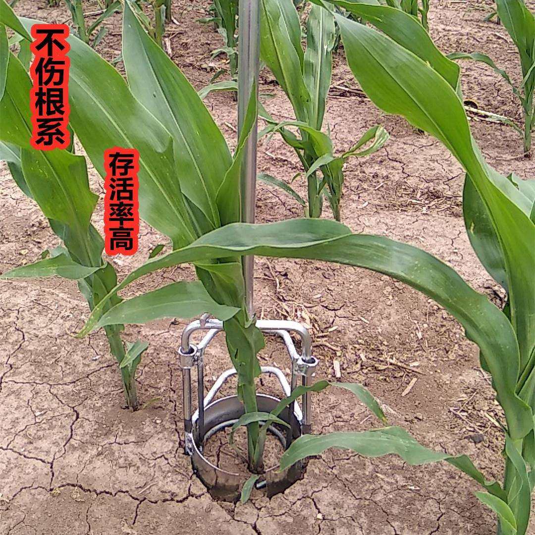 移苗器移栽器不锈钢大脚蹬舒适加密焊接补玉米苗耕种机械,淘宝优惠券,粉丝福利购,淘宝优惠卷