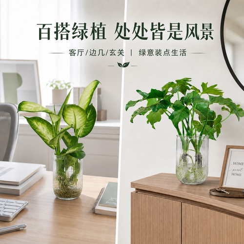 佛手柑挂饰天然干花水培绿植室内好养耐阴书房家居装饰净化空气 - 图0