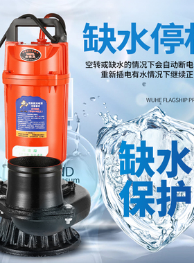 无刷直流潜水泵2寸48v60v72v伏通用农用浇地灌溉电动车电动抽水泵