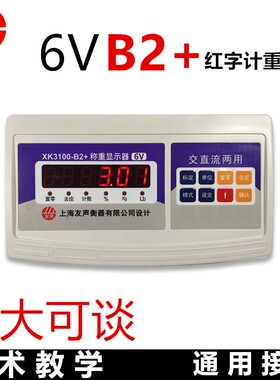 上海友声XK3100-B2+系列称重显示器计重计数 计价仪表 电子秤表头