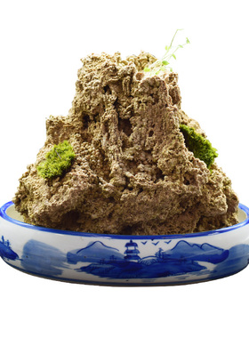 上水石原石天然吸水石盆景摆件麦管石假山原石奇石造景水秀石包邮