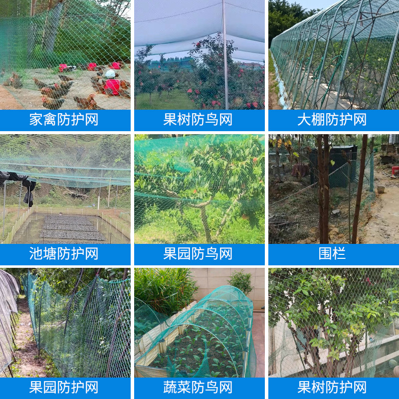 防鸟网果园养殖专用天网大棚尼龙网加密网鱼塘网爬藤网防护栏鸡网,淘宝优惠券,粉丝福利购,淘宝优惠卷
