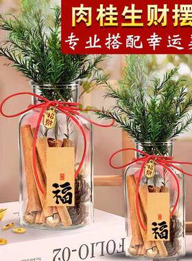 肉桂生财瓶摆件招财聚玻璃瓶花瓶diy材料客财厅位乔迁新居搬家用