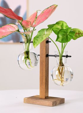 简约创意木架水培小花瓶摆件装饰品绿萝水养植物透明插花瓶装饰品