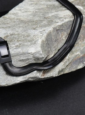 银色项链男生女小众设计宽版蛇骨链潮流美式嘻哈冷淡风锁骨链