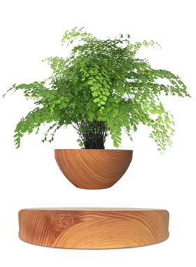 悬浮摆件 创意 磁悬浮盆栽空中绿植花盆植物办公室装饰品乔迁礼物