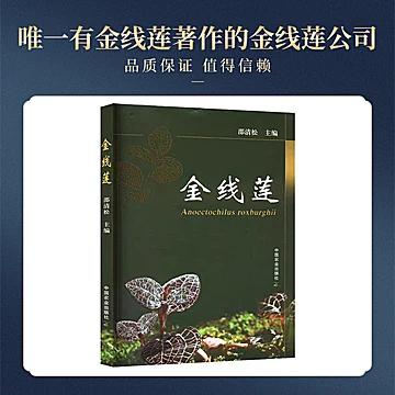 莲槿记特级金线莲整株干品送长辈炖品煲汤[189元优惠券]-寻折猪