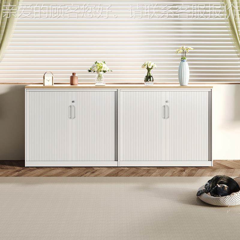 明润铁推拉卷MR-035帘门办公文件资料档案柜带锁储柜物皮收纳装柜,淘宝优惠券,粉丝福利购,淘宝优惠卷