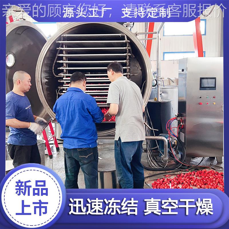 宠零食冻机 复合蛋HSDG-15黄粒真空冻干干猫机 什厂锦果蔬脆冻干 - 图0