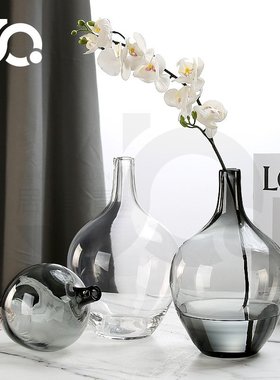 北欧简约大肚子原色料玻璃花瓶吊钟马醉木石榴插花水培落地大号