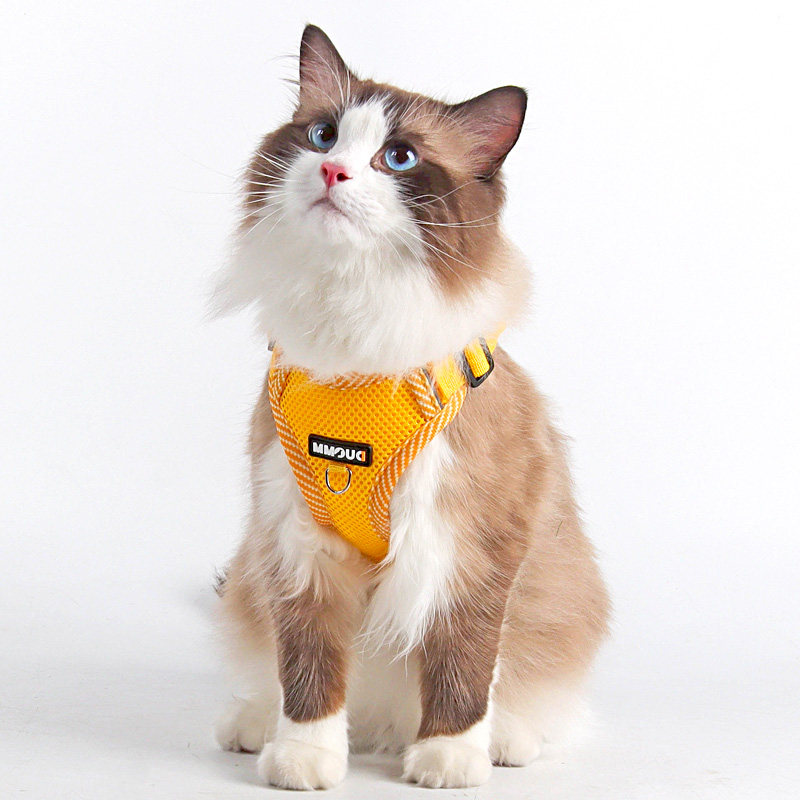 猫咪牵引绳防挣脱外出专用猫绳子宠物胸背带链子可调节布偶遛猫绳,淘宝优惠券,粉丝福利购,淘宝优惠卷