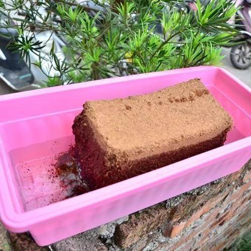 种植椰壳砖阳台种菜土壤大块耶糠砖脱盐椰砖营养土养花通用型泥土,淘宝优惠券,粉丝福利购,淘宝优惠卷