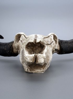 牛角壁挂立体动物骷髅创意家居墙面装饰复古骨头货源立体壁挂装饰