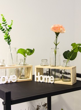 创意绿萝水培植物玻璃瓶小清新花瓶摆件客厅办公室插花桌面小摆设