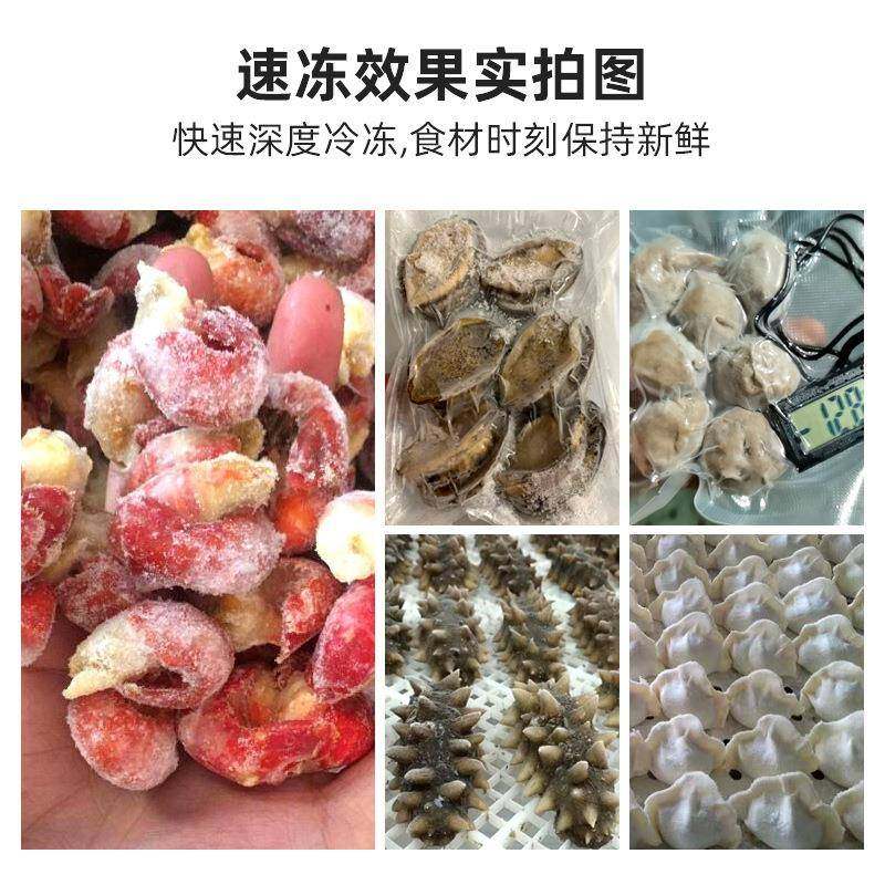 零下45度商用速冻柜速包子冻机小型急冻冷柜海参包子饺子风冷冰箱,淘宝优惠券,粉丝福利购,淘宝优惠卷