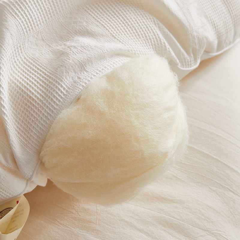 高档A类轻奢55李官奇大豆被春秋被 冬季保暖全棉软被芯单双人冬被,淘宝优惠券,粉丝福利购,淘宝优惠卷