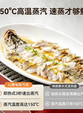 电蒸锅多功能家用蒸炖一体锅