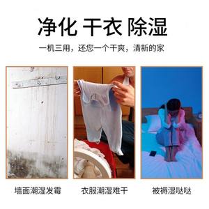 TCL除湿机家用抽湿器智能抽湿机别墅地下室工业大功率除湿器DET25