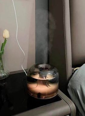 捷博家桌面小型迷你静音加湿器卧室孕妇婴儿空调房暖气加湿机USB