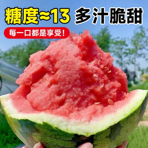 8424西瓜苗秧嫁接麒麟大西瓜盆栽种籽南方无籽西瓜水果蔬菜苗秧苗 - 图3