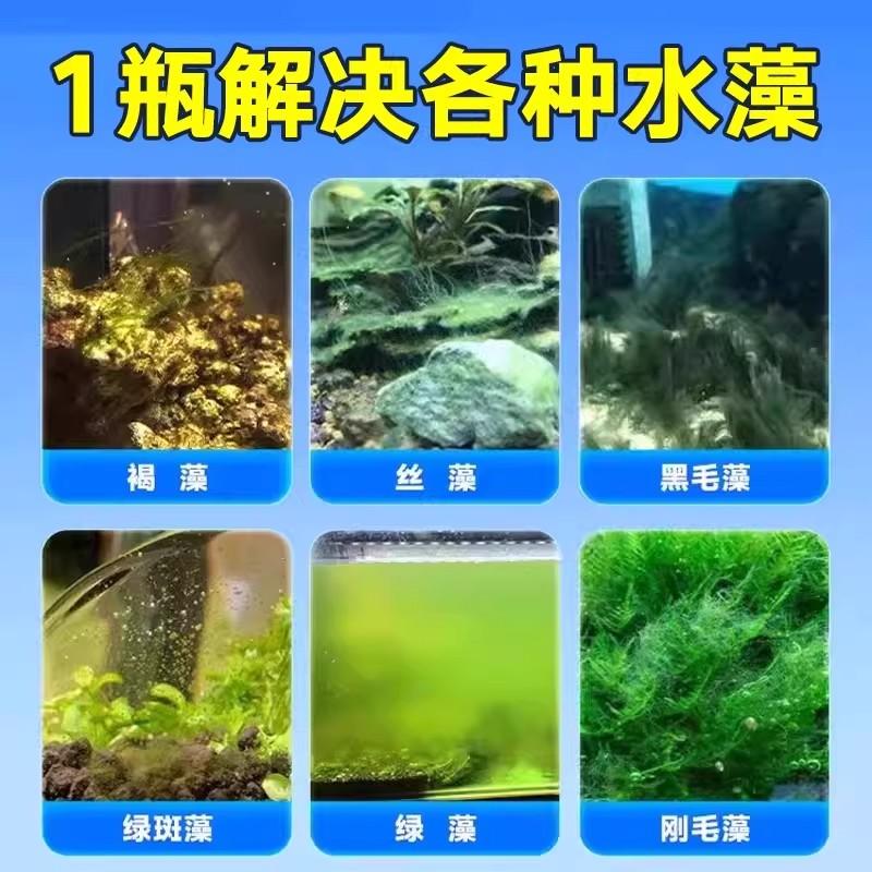鱼缸除藻片绿藻青苔清除神器鱼缸除绿水褐藻丝藻黑藻水垢除藻除氯