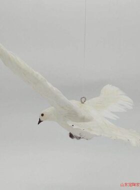 仿真飞翔鸽子和平鸽真羽毛动物教学模型家居创意装饰摆件展会布置