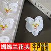 Korean Phalaenopsis Soap Flower Head Simulated Flower Wet Feeling Everlasting Flower Head Flower Shop Handmade Bouquet Gift Box DIY Material