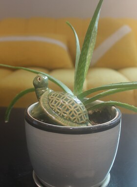 陶瓷小乌龟摆件招财盆栽鱼缸假山造景桌面送礼可爱小动物小装饰品