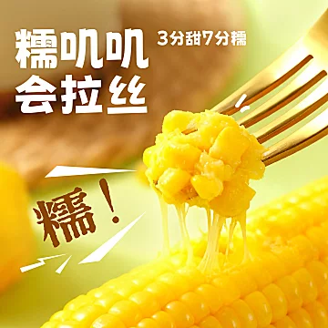 东北头茬玉米！220*8根[8元优惠券]-寻折猪