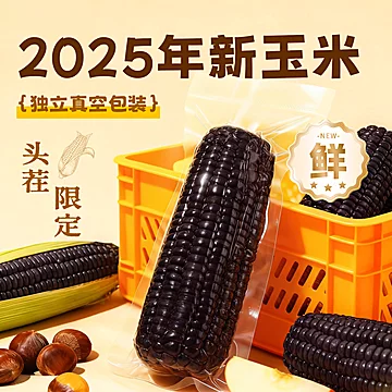 新鲜黑糯玉米2025东北大棒糯玉米8根[11元优惠券]-寻折猪