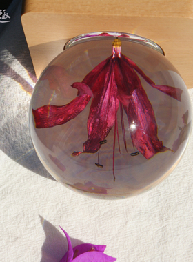 永生花水晶球曼珠沙华彼岸花树脂植物标本小夜灯情人节生日送女友