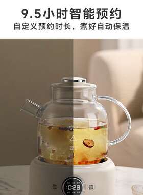 LOTOR小圆吨养生壶全玻璃家用小型办公室多功能煮茶器2024新款