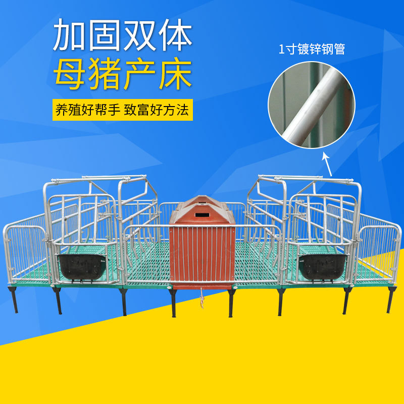 钢网片做母猪产床 单排畜牧猪产床供货商 猪产床多规格尺寸 - 图1