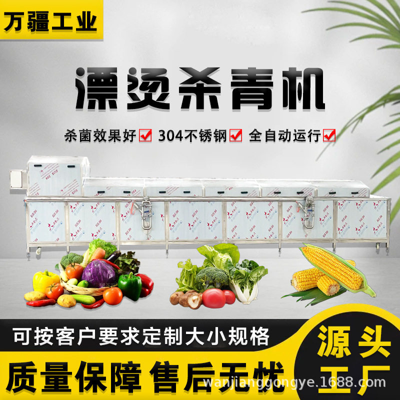 定制泡椒竹笋加工设备 土豆片清洗漂烫机 蒸汽加热西蓝花杀青机,淘宝优惠券,粉丝福利购,淘宝优惠卷
