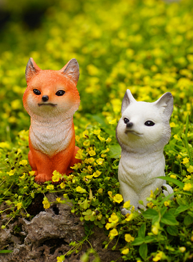 九尾狐狸多肉长毛可爱小尾巴花盆造景装饰品猴尾柱花园微景观摆件