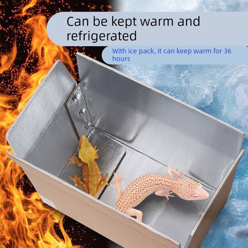 爬宠快递箱宠物仓鼠蜥蜴乌龟蜘蛛鹦鹉保温箱专用防摔防水潮,淘宝优惠券,粉丝福利购,淘宝优惠卷