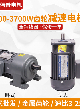 齿轮减速电机三相380V220V变频调速电机400W750W立卧式低速电机