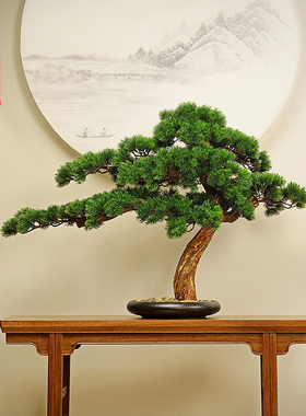新仿真迎客松盆景枯山水绿植家居室内松树软装装饰品