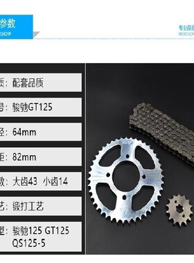 轻骑铃木骏驰GT125套链QS125-5-A-B-CEF大小链轮链条前后齿轮牙盘