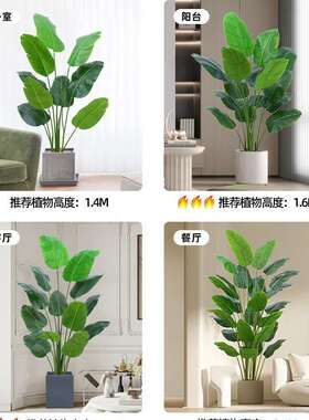 绿植天堂鸟植物轻奢室内大型仿生盆栽摆件客厅装饰落地假花树其他