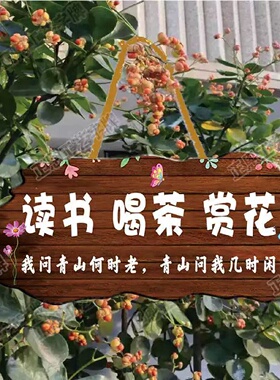 家用阳台花园庭院民宿DIY墙上挂件吾家小院创意门牌古风装饰挂牌