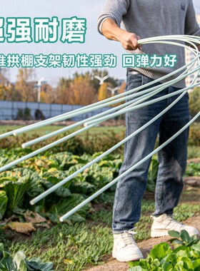 玻璃纤维拱棚支架农家用支撑架龙骨秧苗拱竿保温大棚纤维杆简易棍