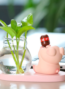 治愈卡通水培花瓶客厅卧室书桌家居玄关电视柜办公室装饰品小摆件