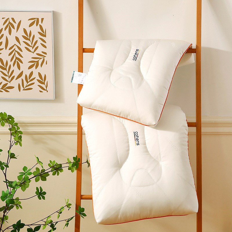 壳恩士抗菌抗菌枕头水洗低枕芯扁D平枕定型枕立体枕面包枕一对装 - 图1