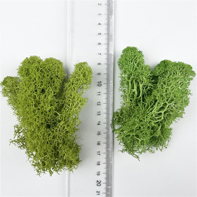 地衣仿真灌木丛兵人建筑沙盘场景观模型树草丛绿化地台模型荆棘团,淘宝优惠券,粉丝福利购,淘宝优惠卷