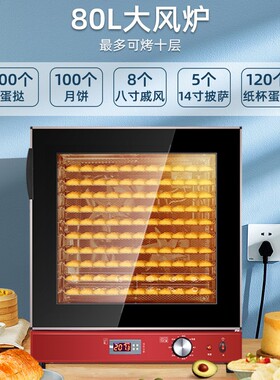 礼悦家升风炉电烤箱烘焙商用