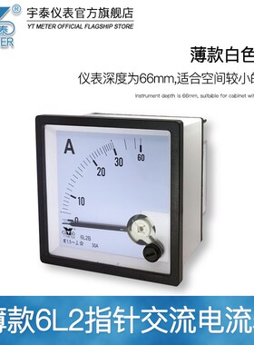 6L2B交流电流表指针AC50/5a 10A 30A 白色带过载指针仪表宇泰cp80